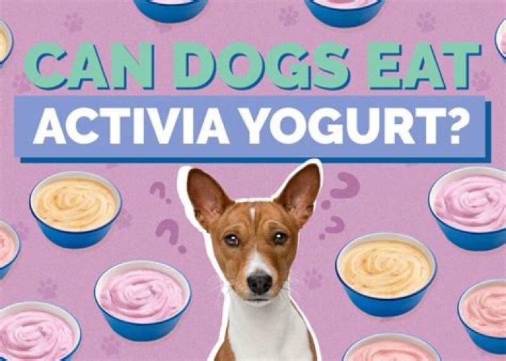 Can Dogs Eat Activia Yogurt