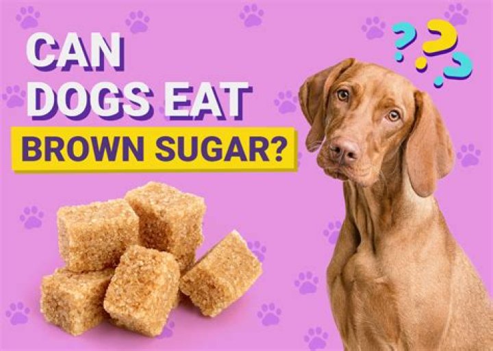 Can Dogs Eat Brown Sugar