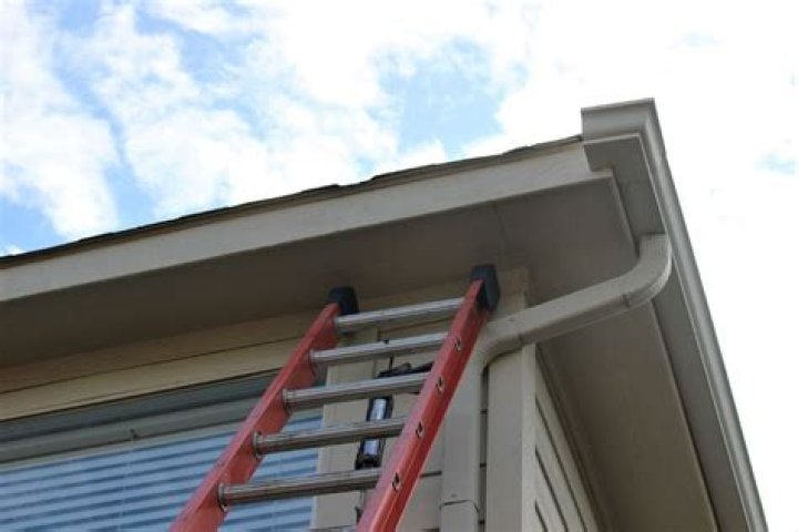 How To Prevent Raccoons From Climbing Downspouts