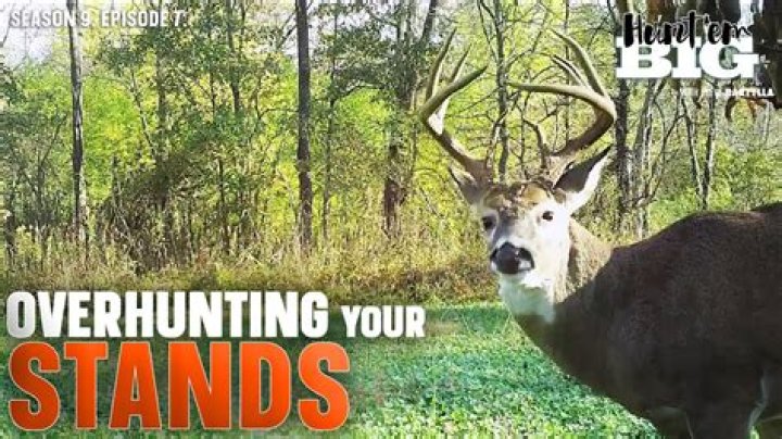 How To Stop Over Hunting