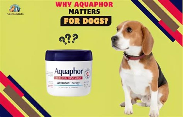 Is Aquaphor Bad For Dogs