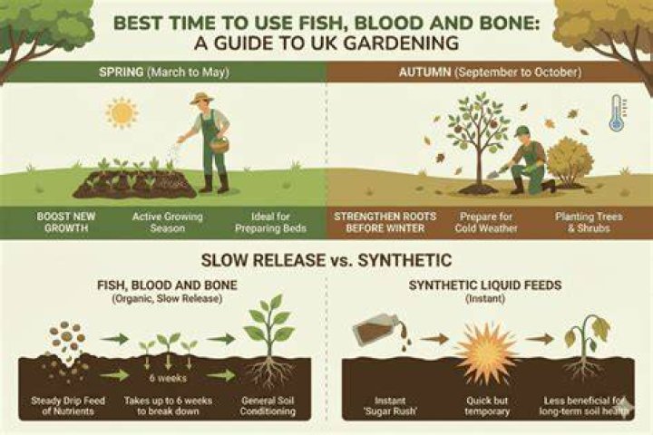 Question: Can Fish Blood And Bone Be Used On Lawns