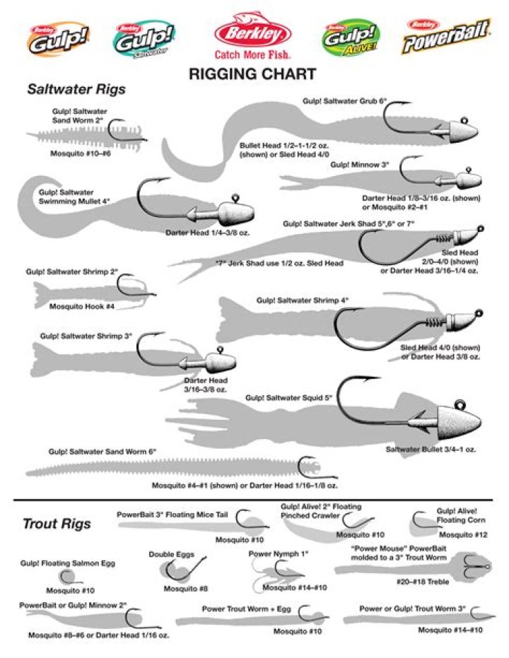 Question: How To Use Berkley Fish Scale