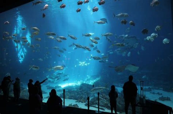 Question: Where Is The World’s Largest Aquarium