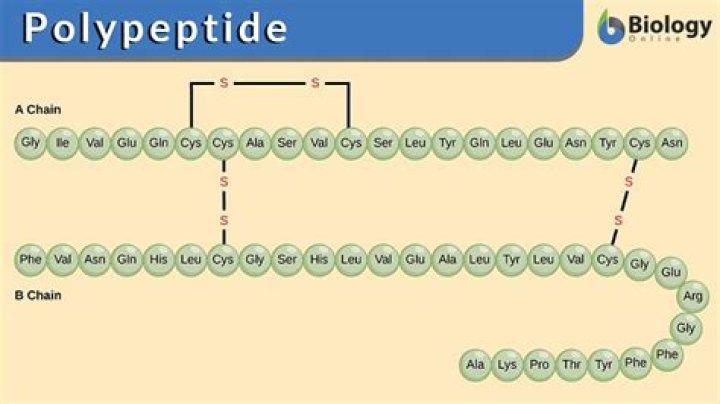 Question: Why Is Peptide T Illegal