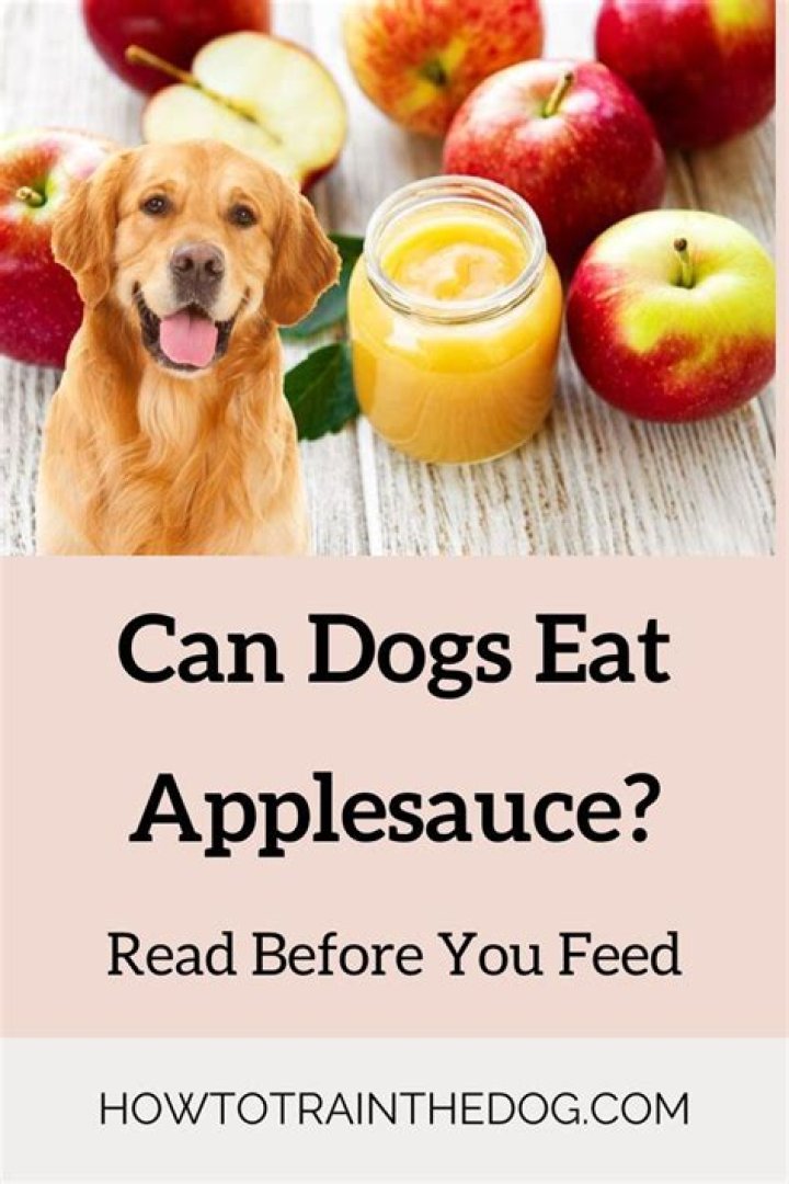 Quick Answer: Can My Dog Eat Applesauce