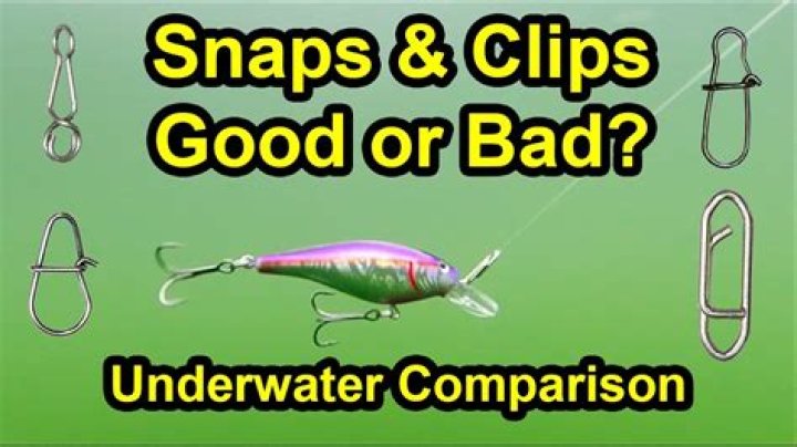 Quick Answer: What Is Snap Hunting