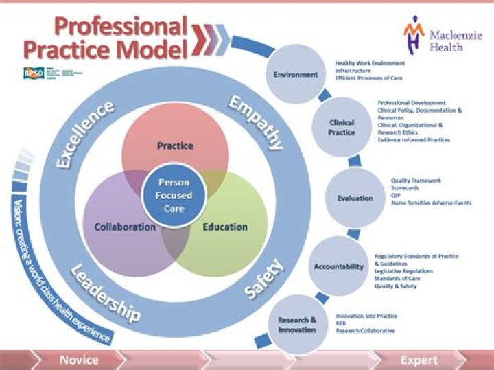 What is practice model