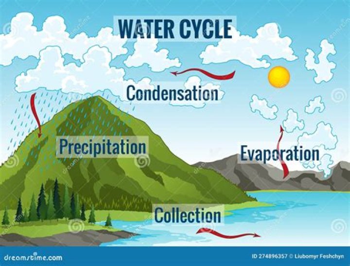 What Is The Transportation Of Water In The Water Cycle
